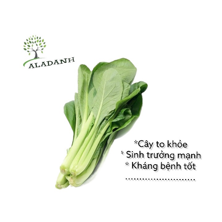 Tổng hợp 100 loạt hạt giống rau củ quả độ nảy mầm tốt, chịu nhiệt tốt, dễ trồng, thích hợp mọi khí hậu