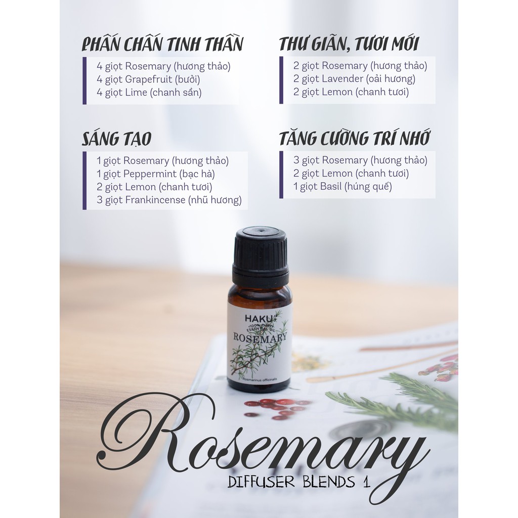Tinh dầu Hương Thảo Rosemary