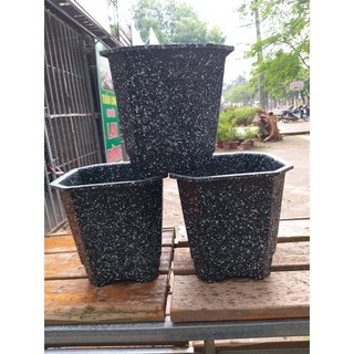 5 chậu nhựa giả đá