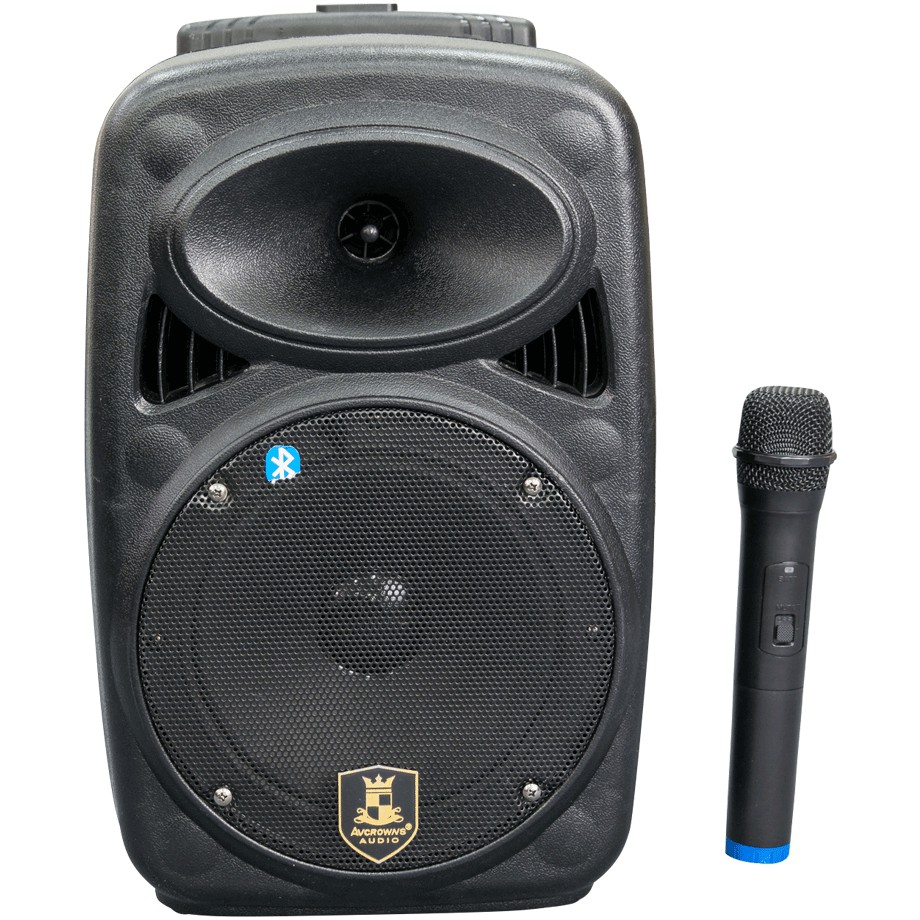 Loa kéo di động AVCROWNS CH-M08