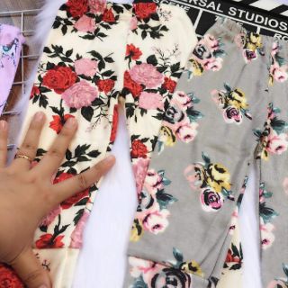 Combo Quần cotton cho bé - e dung