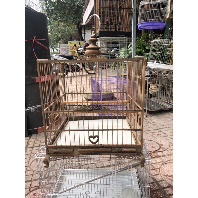 lồng đấu chào mào gỗ muồng