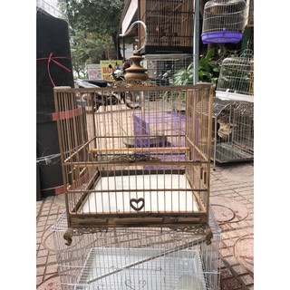 lồng đấu chào mào gỗ muồng