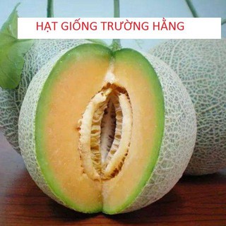Hạt giống Dưa Lưới Tròn 10 Hạt