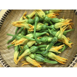 Hạt Giống Bí Nụ Ăn Non Giòn, Ngọt