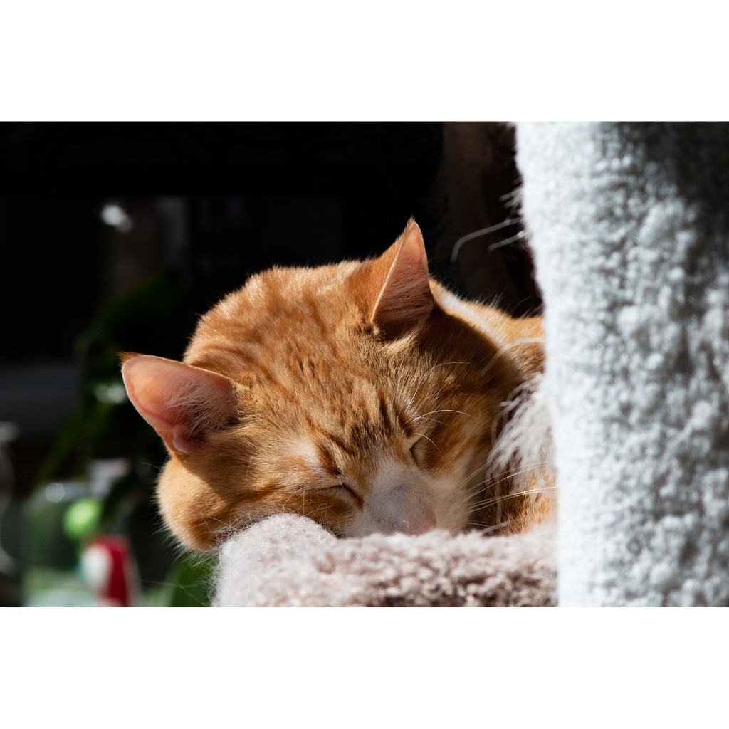 Ống kính máy ảnh Tou Five Star 75-200mm f4.5 MC Macro MF Pentax  - 11187