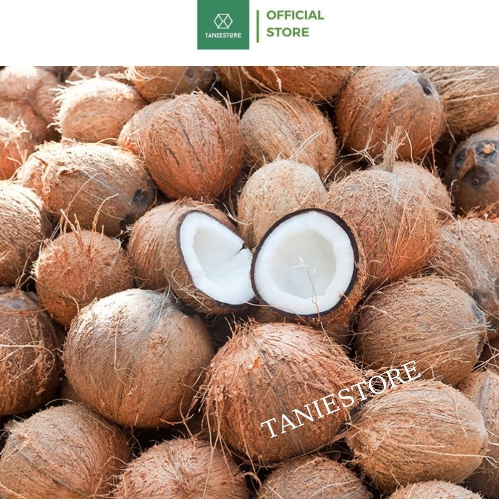 Dừa khô sấy giòn cao cấp ăn vặt đặc sản Bến Tre bổ dưỡng thơm ngon tốt cho sức khỏe