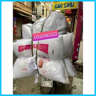 Ruột gối sông hồng 45cmx65cm _chính hãng