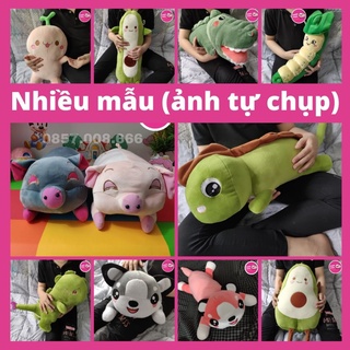Gấu bông cao cấp vải nhung 40cm-70cm