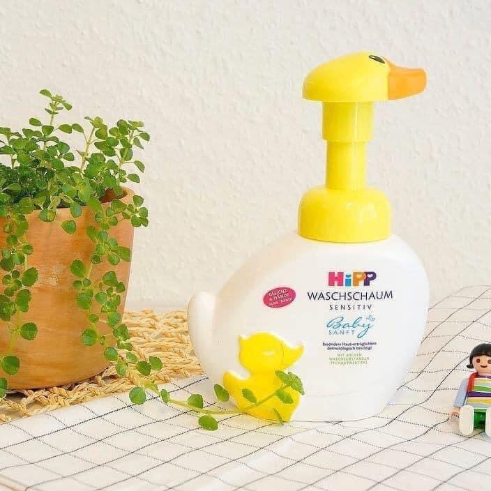 AA1 𝐒Ữ𝐀 𝐓Ắ𝐌 𝐂𝐎𝐍 𝐕Ị𝐓 𝐇𝐈𝐏𝐏 - 𝐇À𝐍𝐆 𝐍Ộ𝐈 ĐỊ𝐀 𝐂Ủ𝐀 ĐỨ𝐂