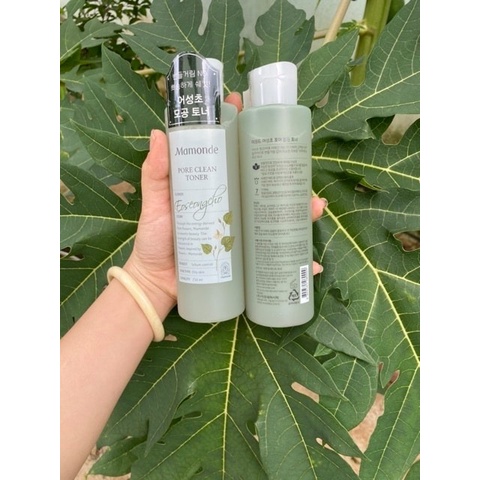 𝐓𝐎𝐍𝐄𝐑 𝐌𝐀𝐌𝐎𝐍𝐃𝐄 𝐑𝐀𝐔 𝐃𝐈𝐄̂́𝐏 𝐂𝐀́