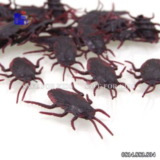 Con Gián Giả Đồ Chơi Cho Chó Mèo, Chơi Khăm