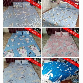 Set chăn ga gối cotton poly