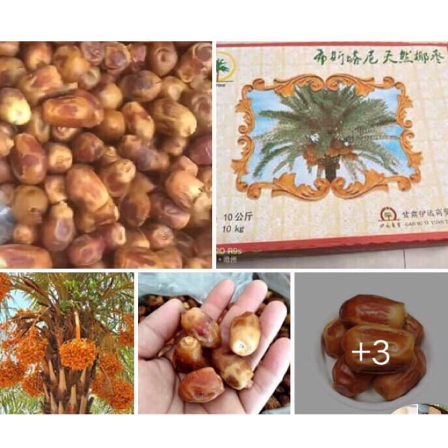 SỈ 1 THÙNG 10KG CHÀ LÀ SẤY DẺO