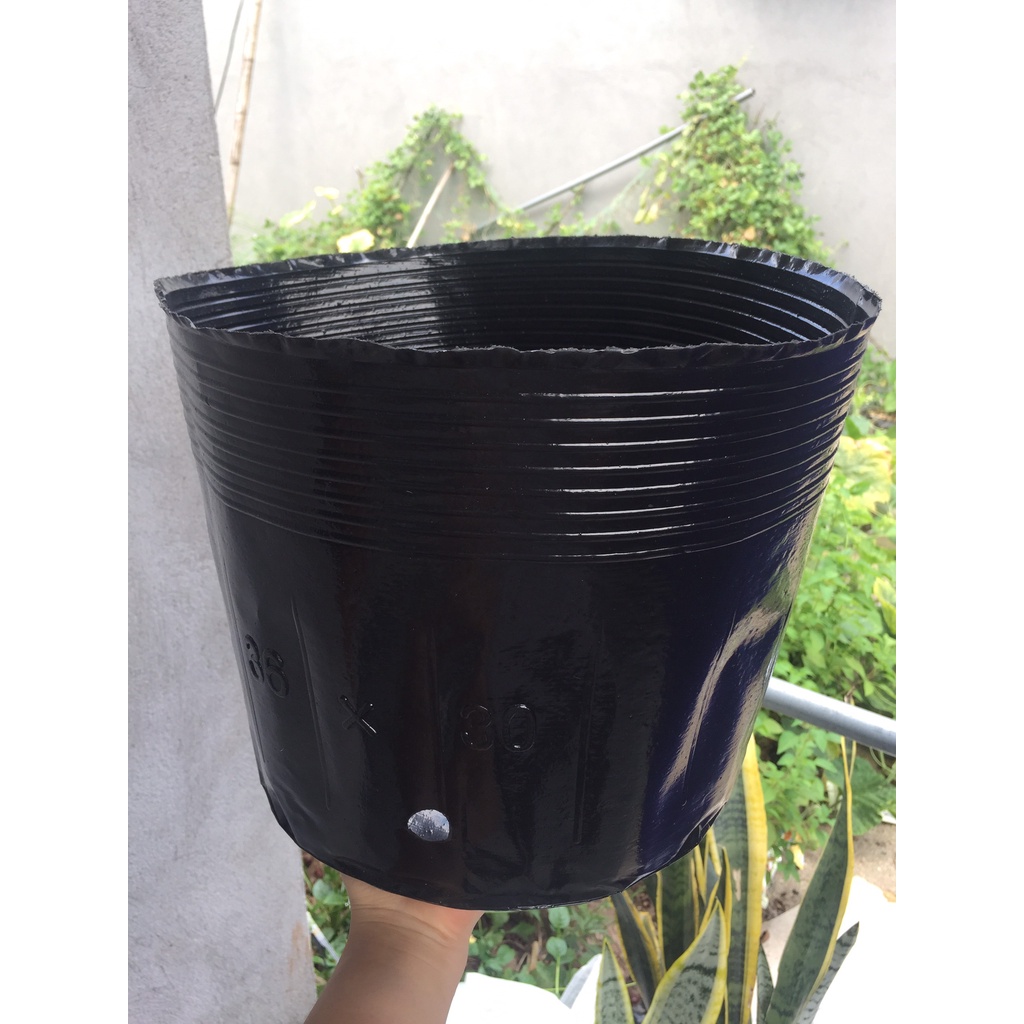 BẦU ƯƠM CÂY 36*30 ( DỊCH TRUYỀN CHO CÂY, KÍCH RỄ , MẦM CÂY XANH LÁ, LƯỚI CHE NẮNG...)