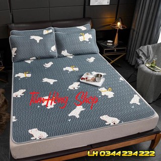 CHIẾU ĐIỀU HOÀ TENCEL CAO SU NON CAO CẤP TẶNG 2 VỎ GỐI
