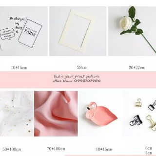 phụ kiện set đĩa thiên nga