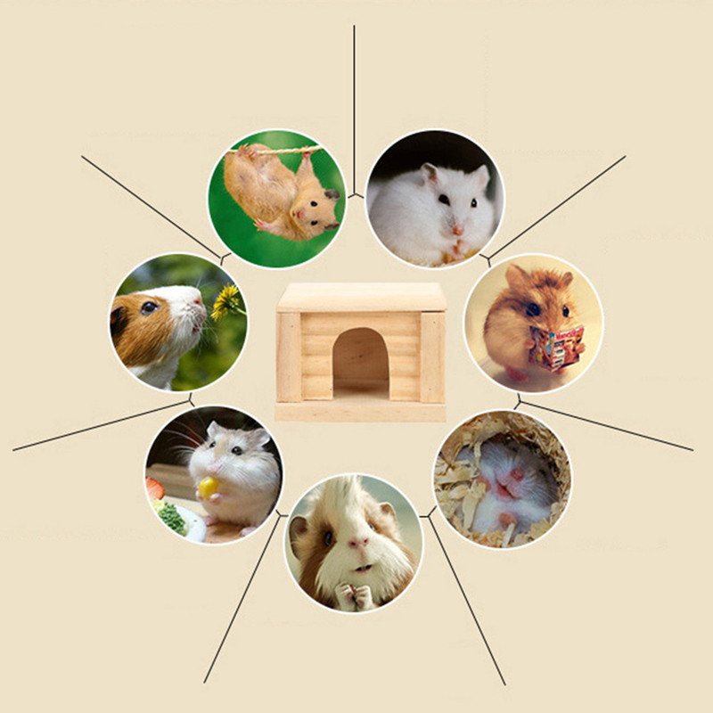 Nhà Đồ Chơi Dễ Thương Cho Chuột Hamster