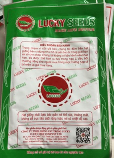 Hạt giống cải mèo 20 gr ☘️
