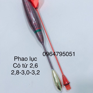 Bộ sản phẩm câu lục bear 450