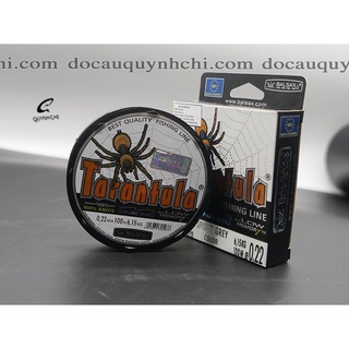 CƯỚC - 100M - TARANTULA - NHỆN [ĐỒ CÂU QUỲNH CHI - MINH HG]