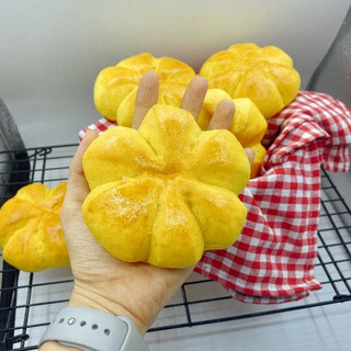 Set 6 bánh bí đỏ bột nguyên cám ăn kiêng Healthy 🌾