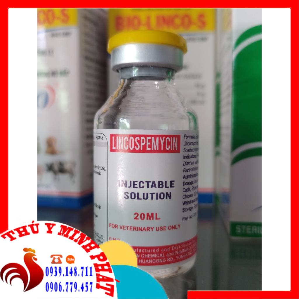 Linco Đài Loan Lincospecmycin chai 20ml cho gà đá