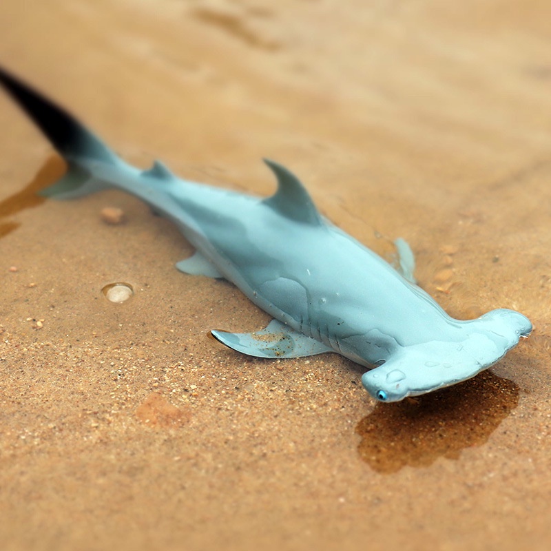 Đồ Chơi Mô Hình Cá Mập megalodon Dễ Thương Giáo Dục Sớm Cho Bé