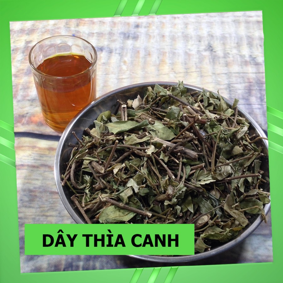 Trà Dây Thìa Canh 💚FREESHIP💚 Thảo Dược Tây Bắc