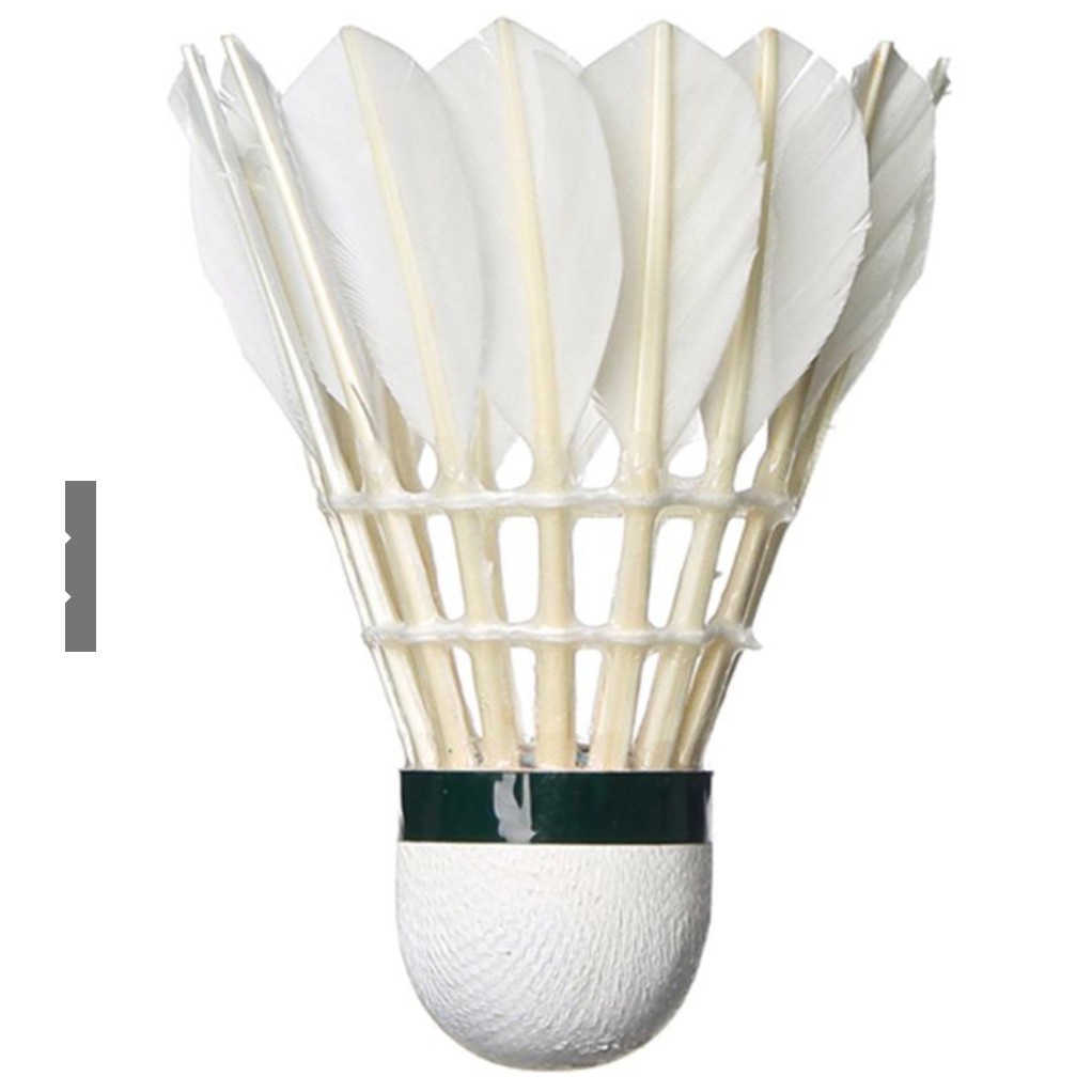 Quả Cầu Lông Giá Rẻ Nhất Thị Trường,Trái cầu lông,Ống cầu lông - Quyensports
