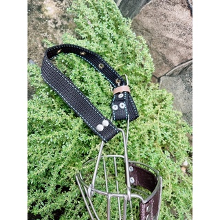 Rọ mõm Inox cho chó