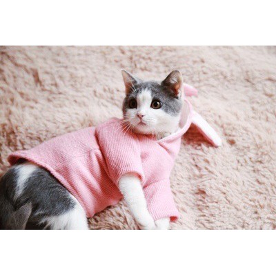 [ XẢ KHO ] áo len tai thỏ cho chó mèo