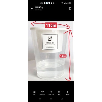 Chậu trồng cây thủy sinh