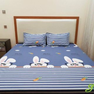 Vỏ gối chống thấm