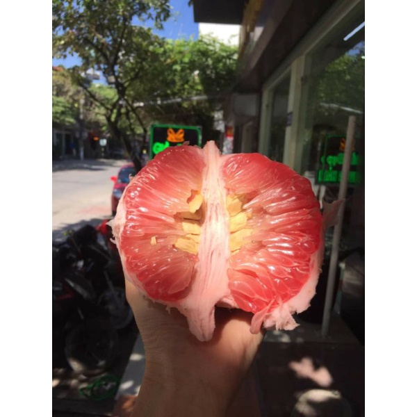 bưởi diễn bao ngon ngọt trên từng quả ngon bổ rẻ đặc sản vùng quê | BigBuy360 - bigbuy360.vn