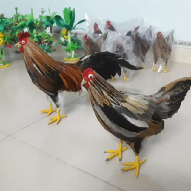 Cặp gà mầm non