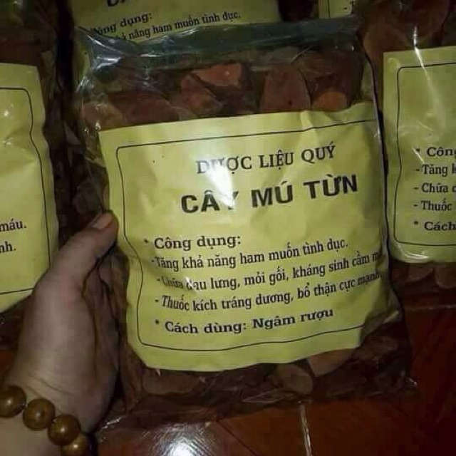 500g Cây Mú Từn - bổ thận tráng dương mạnh