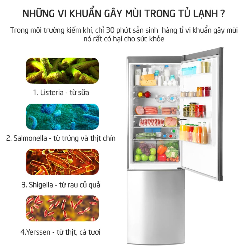 Khử mùi tủ lạnh Freeme Hàn Quốc khử mùi hôi vệ sinh làm thơm tủ lạnh giúp khử khuẩn hoàn toàn hương hoa tự nhiên KMTL01
