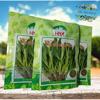 Hạt Giống Mùi Tàu Răng Cưa Ngò Gai HNX 10gr