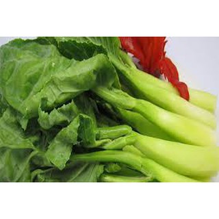 [GIÁ GỐC] Hạt giống rau Cải Làn Mập - 15 gram