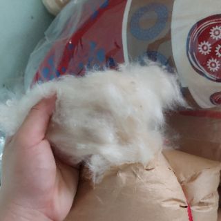 combo 2 kg gòn và 7 ruột nhồi gòn