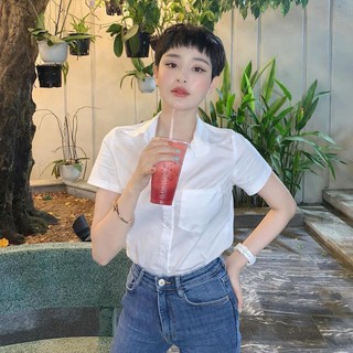 Ảnh thật, hàng sẵn - áo sơ mi cộc tay 1 bên túi gu, dáng sơ mi hiền hồ