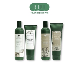 Bộ Gội - Xả WEILAIYA (Tinh Chất Gừng & Hà Thủ Ô) Hỗ Trợ Mọc Tóc, Chống Rụng Tóc