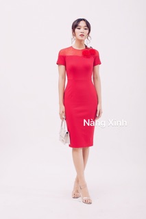 Đầm bút chì decoupe ngực, phối lưới