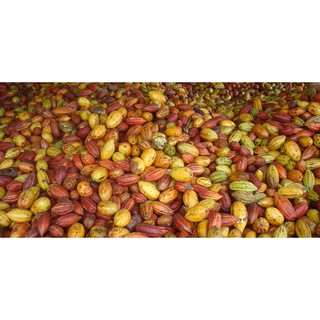 Bột Cacao LACACAO PREMIUM 100g