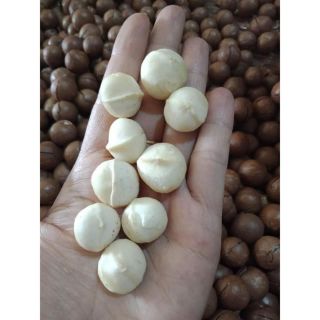 Sỉ toàn quốc hạt mắc ca 500g - 1kg