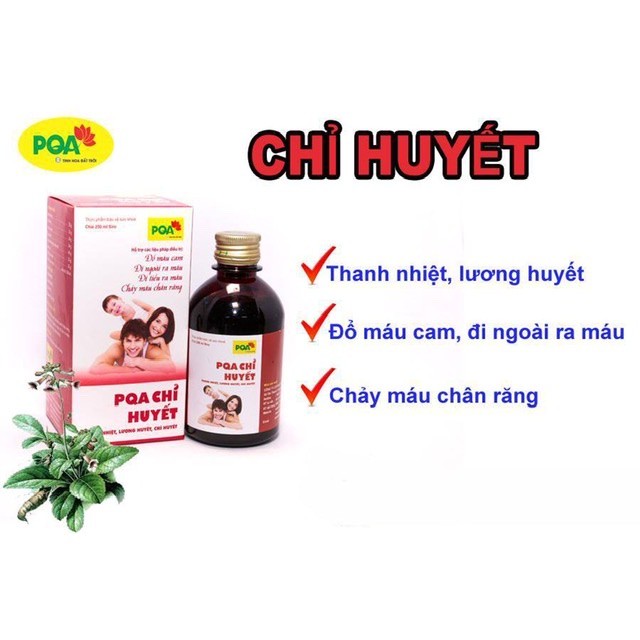 Siro chỉ huyết PQA giải pháp cho chảy máu cam ,chảy máu chân răng chai 125ml