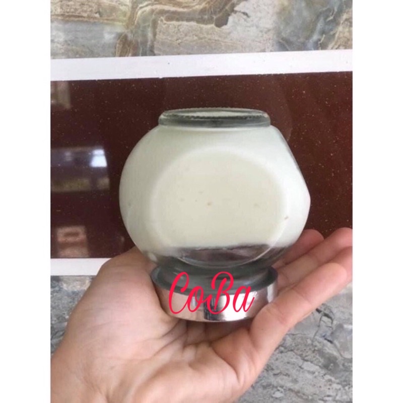combo nấm kefir sữa 140k