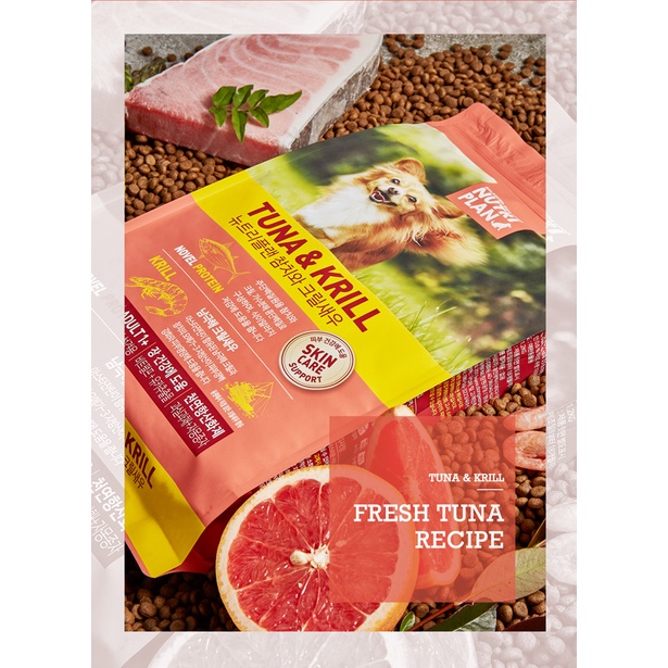 1.2kg - Hạt Nutri Plan cho Chó trưởng thành mọi giống Cá ngừ &amp; Hồng sâm hỗ trợ đẹp da lông &amp; tăng cường miễn dịch