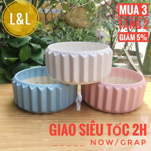 Chậu sứ Bát Tràng Hình Khía cạnh thấp trồng cây Để Bàn, Cây Nội Thất, Sen Đá, Xương rồng